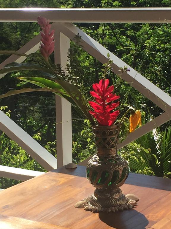 Casa Verde E Mar アングラドスレイス エクステリア 写真